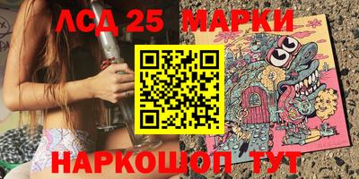 хмурый Кингисепп