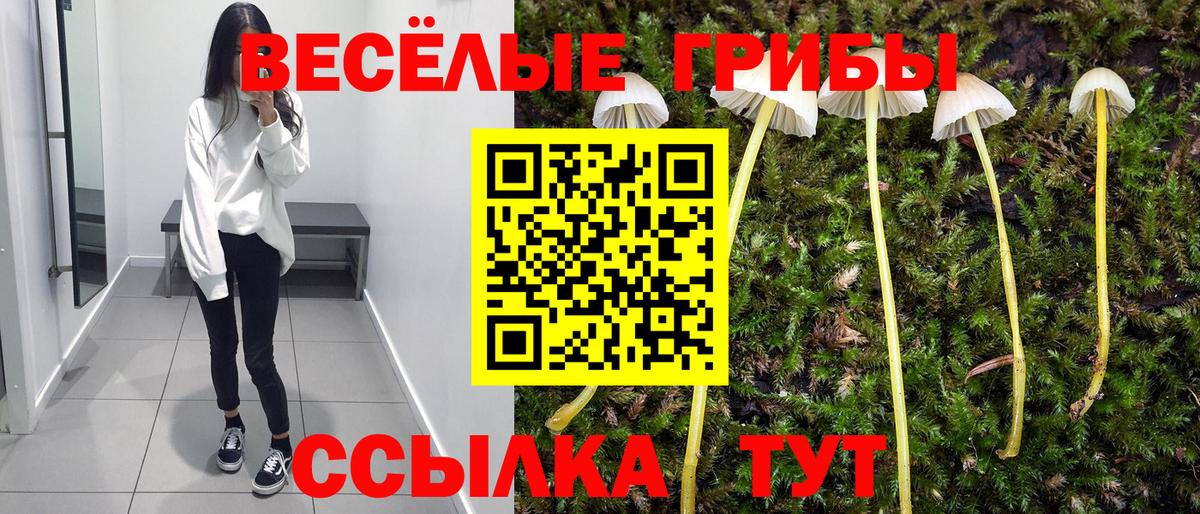 Псилоцибиновые грибы Magic Shrooms  Вход с VPN  Лениногорск 